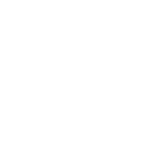 Evalanche Logo