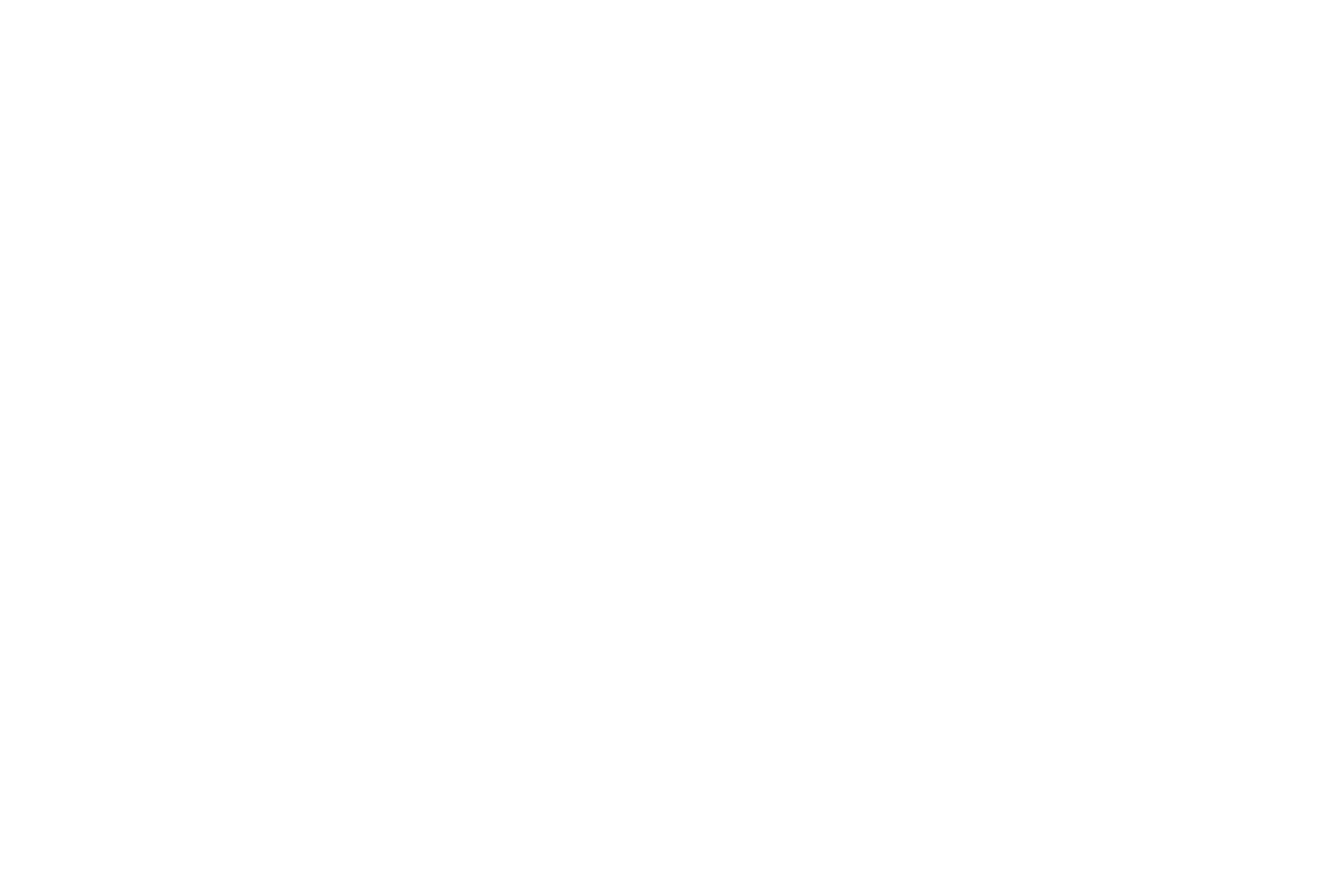 Pimcore Logo
