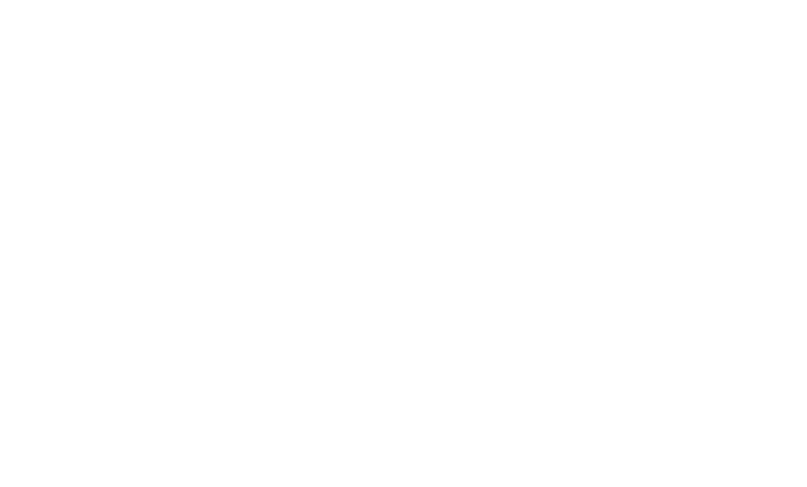 Adobe Experience Manager Logo