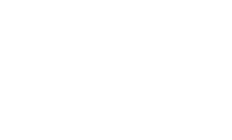 Adobe Experience Manager Logo