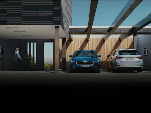 SKODA_Case_Bild.jpg