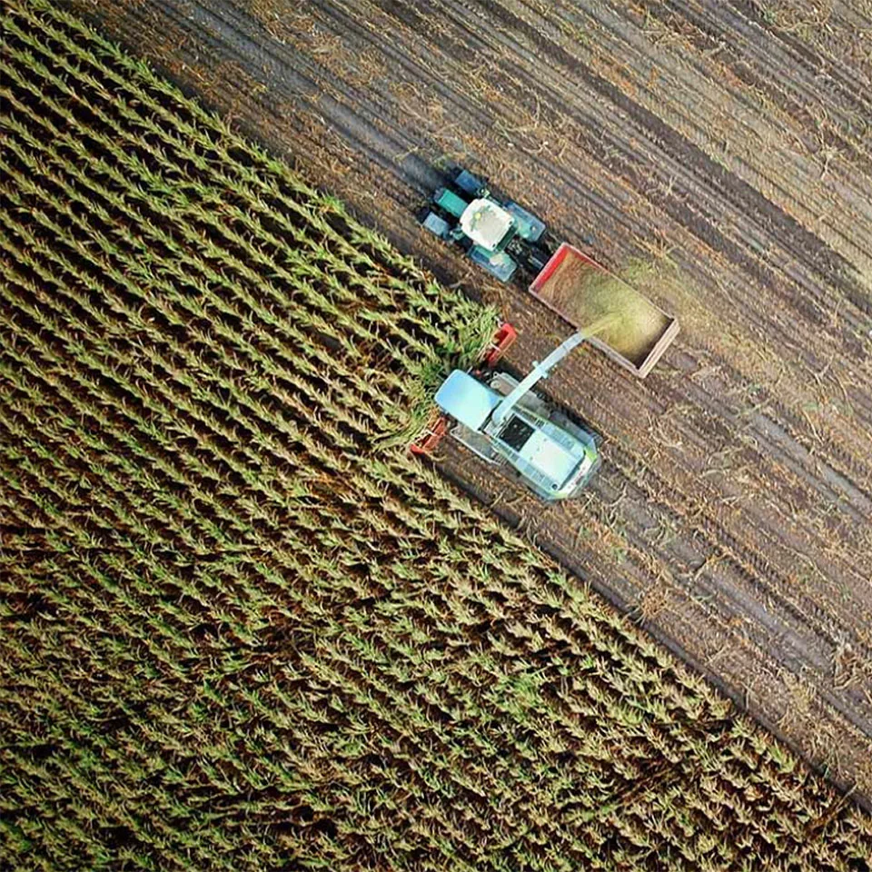 landwirtschaft