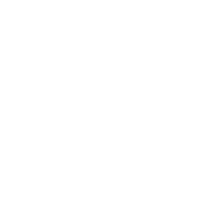 Evalanche Logo