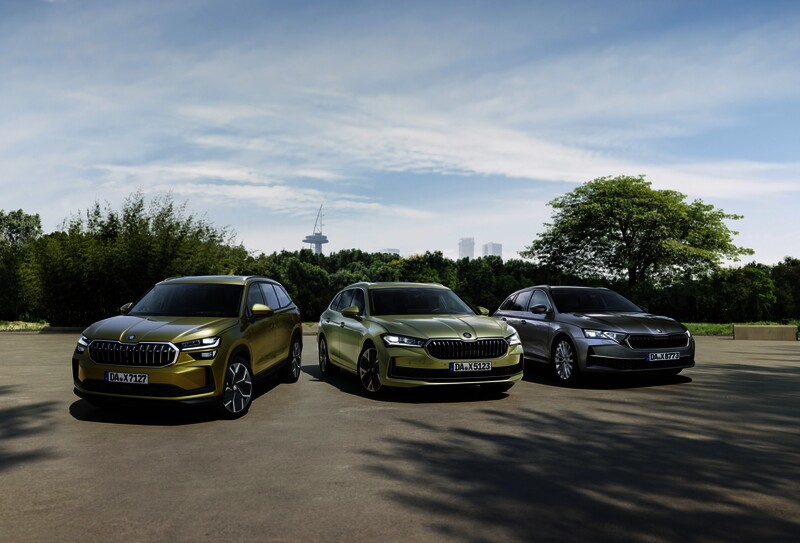 Drei Skoda Autos