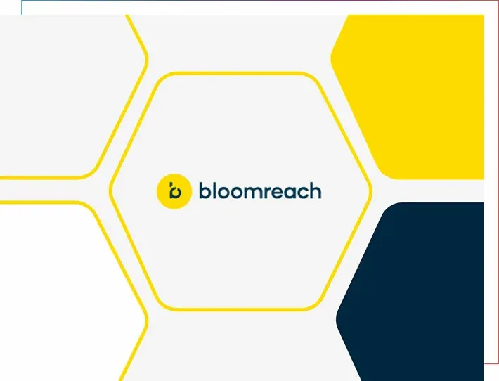 Bloomreach_stage_bild Bloomreach
