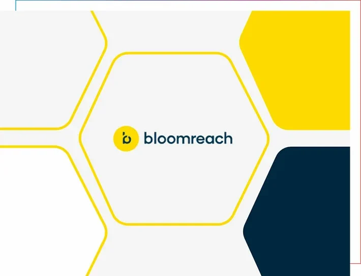Bloomreach_stage_bild Bloomreach